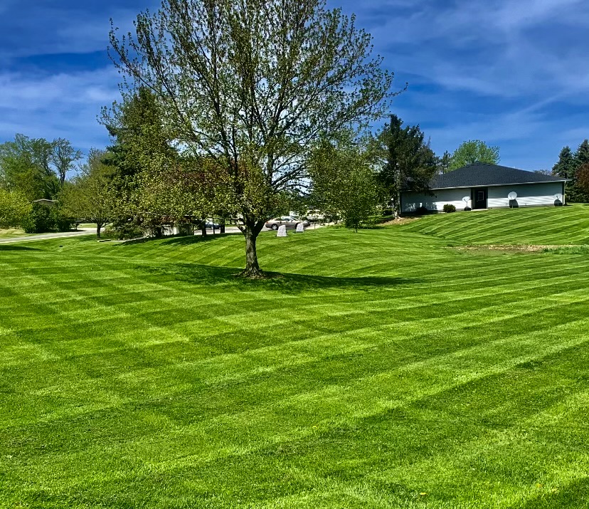 Bright green striped lawn around a mature tree