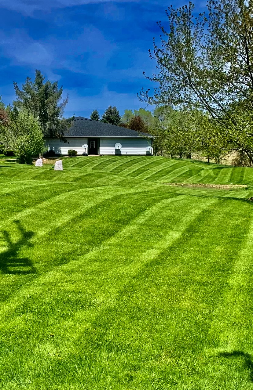 Wide striped lawn sloping up to a ranch home